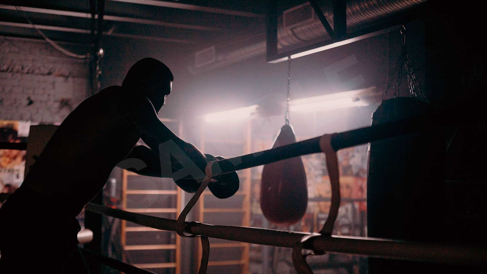 Fighter Factory - evento Boxe